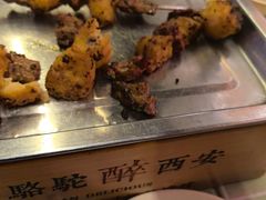 -福苗小骆驼烧烤(莲湖路店)