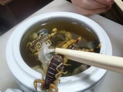 蝎子党参乌鸡汤-国英炖品店(甲子路店)