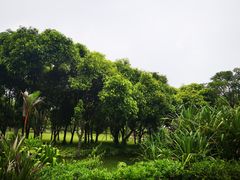 -万绿园