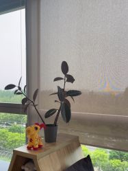 -卡莫瑜伽·普拉提