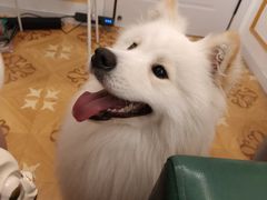 -剧狐剧本杀(徐汇1号店)