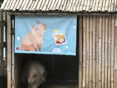-无锡动物园·太湖欢乐园
