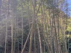 -千泷沟大瀑布旅游区