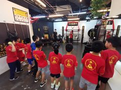 -温鉴良实用咏春拳