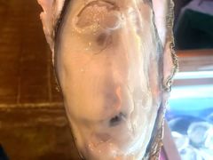 -土蚝·高压锅生蚝(百姓美食街店)
