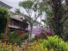 -回辉登偰氏面片(东莲花美食街店)