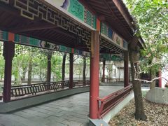 -南汇桃花村