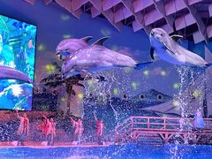 -海合安武汉极地海洋公园