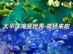 -太平洋海底世界