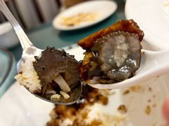 葱烧海参-燕喜堂·中华老字号(大明湖店)