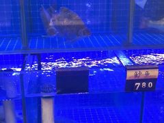 -状元楼(金溪路店)