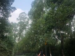 -火炉山森林公园