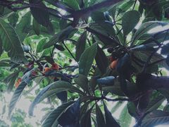 -boundaries籬苑(瑞光创意工厂-贰号院店)