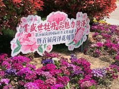 -曹州牡丹园