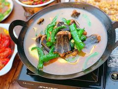 -不炭白烧烤(成都首店)