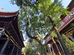 -南岳衡山风景名胜区-南岳大庙