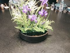 -大拙里·精致融合菜(沙湖桃源国际店)