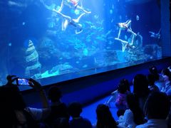 -多彩贵州城极地海洋世界