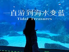 -海合安成都极地海洋公园