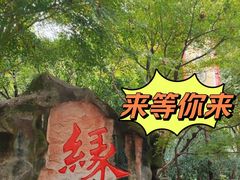 -杭州黄龙洞