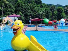 -重庆海昌加勒比海水世界