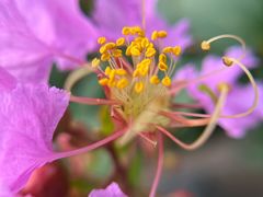 -杭州城北体育公园