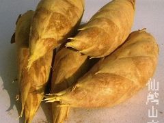 -仙山谷激浪漂流