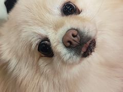 -和它·交个朋友·狗咖猫咖(爱琴海店)