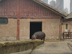-南昌动物园