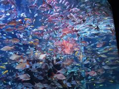 -成都浩海立方海洋公园