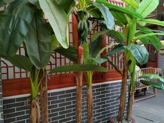 -水乡人家私房菜(逢简店)