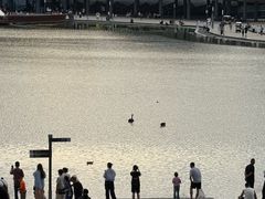 -韩阳王石板烤肉