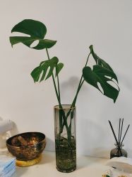 -美肤盾祛痘·问题肌头疗管理中心