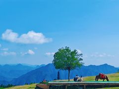 -玉舍国家森林公园