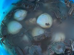 -南汇新城海滩