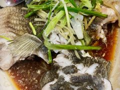 -富来美食(成发大厦店)
