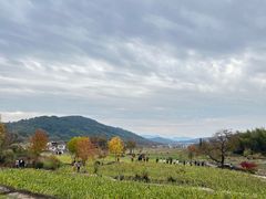 -塔川景区