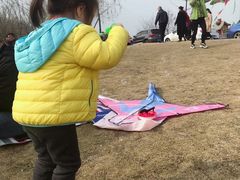 -两河城市森林公园