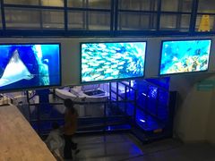 -成都浩海立方海洋公园