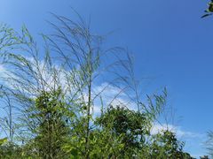 -宝界山林公园