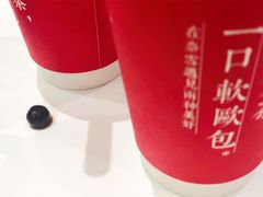 -奈雪的茶(国金中心店)