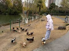 -上海宝华万豪酒店