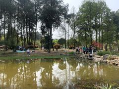 -铁山坪森林公园