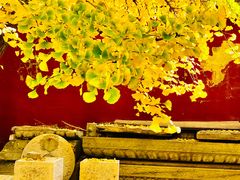 -北京石刻艺术博物馆(五塔寺)