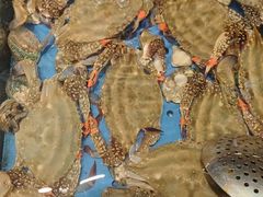 -君霖海鲜私房菜(春柳店)