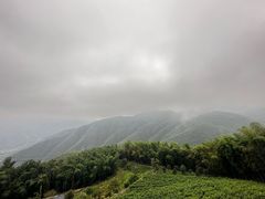 -莫干山风景区