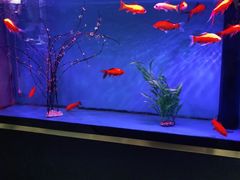 -蜀锦堂·川味现炒(襄阳武商汇店)