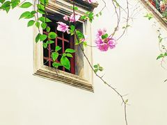 -深圳国际园林花卉博览园