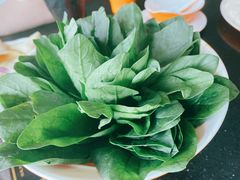 菠菜-刘一锅筋头巴脑(凌空二街店)