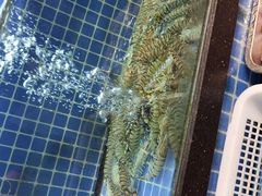 -碧海银沙海鲜餐厅(恒大海上威尼斯店)